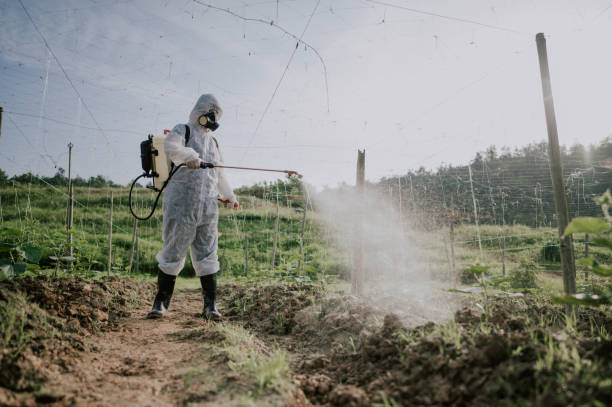 Best Local Pest Control Services  in Great Falls, MT