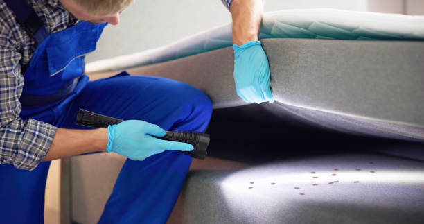 Best Termite Control Services  in Great Falls, MT